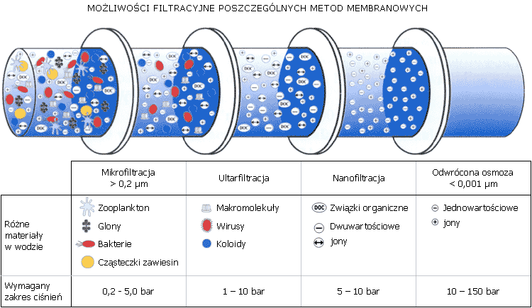 Wielkości cząstek